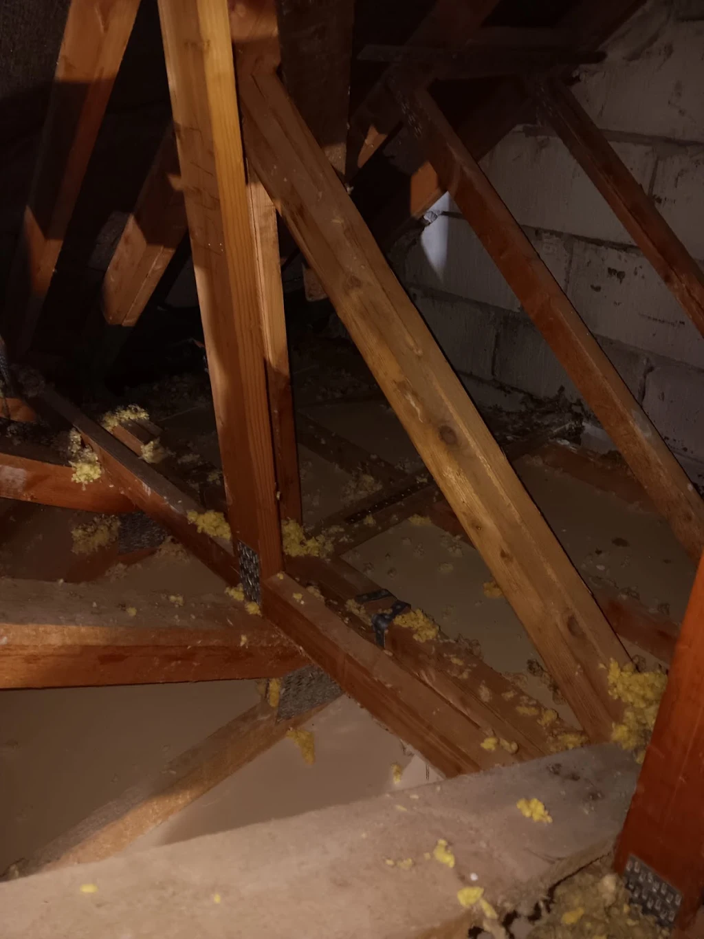 Sharron's Full Insulation Replacement